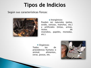 Tipos de Indicios 
Inorgánicos: 
Según sus características físicas: 
Pueden ser naturales (polvo, 
oxido, cenizas, manchas, etc.) 
y artificiales (tintas, armas, 
restos de 
incendios, papeles, monedas, 
etc.). 
Orgánicos: 
Todos los de 
procedencia humana o 
animal, alimentos, 
ceras, grasas, etc. 
 