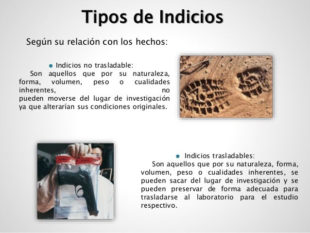 Como dar el análisis sobre la lamblia spb