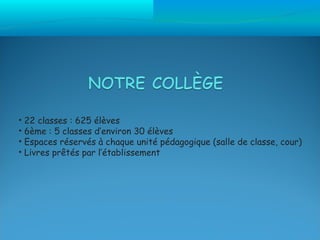 •   22 classes : 625 élèves
•   6ème : 5 classes d’environ 30 élèves
•   Espaces réservés à chaque unité pédagogique (salle de classe, cour)
•   Livres prêtés par l’établissement
 