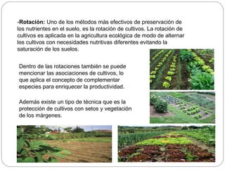 -Rotación: Uno de los métodos más efectivos de preservación de
los nutrientes en el suelo, es la rotación de cultivos. La rotación de
cultivos es aplicada en la agricultura ecológica de modo de alternar
los cultivos con necesidades nutritivas diferentes evitando la
saturación de los suelos.


Dentro de las rotaciones también se puede
mencionar las asociaciones de cultivos, lo
que aplica el concepto de complementar
especies para enriquecer la productividad.

Además existe un tipo de técnica que es la
protección de cultivos con setos y vegetación
de los márgenes.
 