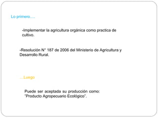Lo primero….


     -Implementar la agricultura orgánica como practica de
     cultivo.


    -Resolución N° 187 de 2006 del Ministerio de Agricultura y
    Desarrollo Rural.




    …Luego


      Puede ser aceptada su producción como:
      ”Producto Agropecuario Ecológico”.
 