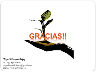 Miguel Alvarado López
Est. Ing. Agronómica
miguelalvaradolopez@gmail.com
3145647917-3126928833
 