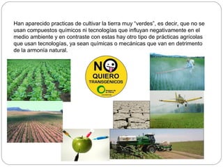 Han aparecido practicas de cultivar la tierra muy “verdes”, es decir, que no se
usan compuestos químicos ni tecnologías que influyan negativamente en el
medio ambiente y en contraste con estas hay otro tipo de prácticas agrícolas
que usan tecnologías, ya sean químicas o mecánicas que van en detrimento
de la armonía natural.
 
