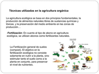 Técnicas utilizadas en la agricultura orgánica

La agricultura ecológica se basa en dos principios fundamentales, la
producción de alimentos naturales libres de sustancias químicas y
tóxicas, y la preservación del medio ambiente en las zonas de
producción…

-Fertilización: En cuanto al tipo de abono en agricultura
ecológica, se utilizan abonos como fertilizantes naturales.



   La Fertilización general de suelos
   (compost). El objetivo en la
   fertilización ecológica no consiste
   solamente en nutrir a la planta, sino
   estimular tanto el suelo como a la
   planta en conjunto, para preservar
   el nivel de nutrientes.
 