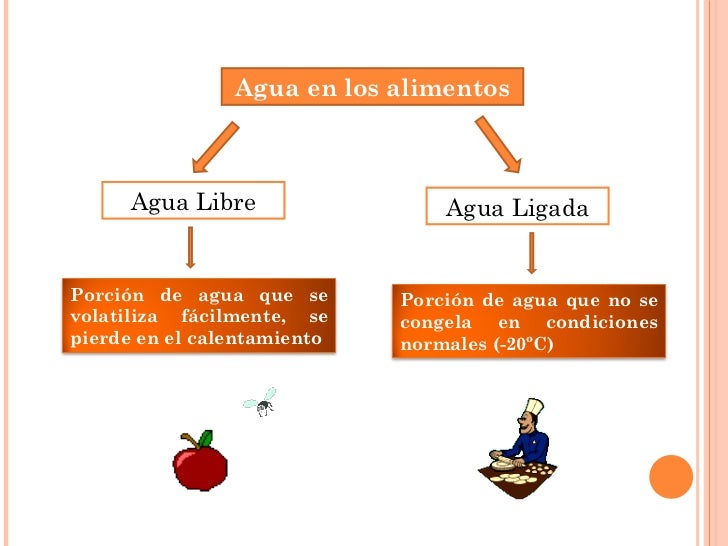 Química de los Alimentos