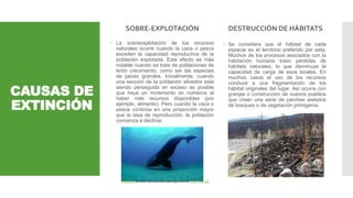 CAUSAS DE
EXTINCIÓN
SOBRE-EXPLOTACIÓN
 La sobreexplotación de los recursos
naturales ocurre cuando la caza o pesca
exceden la capacidad reproductiva de la
población explotada. Este efecto es más
notable cuando se trata de poblaciones de
lento crecimiento, como ser las especies
de peces grandes. Inicialmente, cuando
una sección de la población silvestre está
siendo perseguida en exceso es posible
que haya un incremento en números al
haber más recursos disponibles (por
ejemplo, alimento). Pero cuando la caza o
pesca continúa en una proporción mayor
que la tasa de reproducción, la población
comienza a declinar.
DESTRUCCIÓN DE HÁBITATS
Esta foto de Autor desconocido está bajo licencia CC BY-NC-ND
 Se considera que el hábitat de cada
especie es el territorio preferido por esta.
Muchos de los procesos asociados con la
habitación humana traen pérdidas de
hábitats naturales, lo que disminuye la
capacidad de carga de esos locales. En
muchos casos el uso de los recursos
conduce a una fragmentación de los
hábitat originales del lugar. Así ocurre con
granjas o construcción de nuevos pueblos
que crean una serie de parches aislados
de bosques o de vegetación primigenia.
 