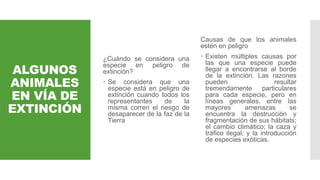 ALGUNOS
ANIMALES
EN VÍA DE
EXTINCIÓN
¿Cuándo se considera una
especie en peligro de
extinción?
 Se considera que una
especie está en peligro de
extinción cuando todos los
representantes de la
misma corren el riesgo de
desaparecer de la faz de la
Tierra
Causas de que los animales
estén en peligro
 Existen múltiples causas por
las que una especie puede
llegar a encontrarse al borde
de la extinción. Las razones
pueden resultar
tremendamente particulares
para cada especie, pero en
líneas generales, entre las
mayores amenazas se
encuentra la destrucción y
fragmentación de sus hábitats;
el cambio climático; la caza y
tráfico ilegal; y la introducción
de especies exóticas.
 