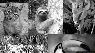 Esta foto de Autor desconocido está bajo licencia CC BY-NC
 