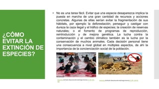¿CÓMO
EVITAR LA
EXTINCIÓN DE
ESPECIES?
• No es una tarea fácil. Evitar que una especie desaparezca implica la
puesta en marcha de una gran cantidad de recursos y acciones
concretas. Algunas de ellas serían evitar la fragmentación de sus
hábitats, por ejemplo la deforestación; perseguir y castigar con
dureza la caza ilegal y el tráfico de especies; la creación de reservas
naturales; o el fomento de programas de reproducción,
reintroducción y de mejora genética. La lucha contra la
contaminación y el cambio climático también es la lucha por la
conservación de muchos animales. Cada decisión personal tiene
una consecuencia a nivel global en múltiples aspectos, de ahí la
importancia de la concienciación social de la población.
Esta foto de Autor desconocido está bajo licencia CC BY-SA-NCEsta foto de Autor desconocido está bajo licencia CC BY-NC-
ND
 