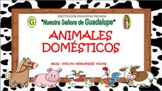 MISS: EVELYN HERNÁNDEZ HIJAR
INSTITUCIÓN EDUCATIVA PRIVADA
ANIMALES
DOMÉSTICOS
 
