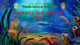 MISS: EVELYN HERNÁNDEZ HIJAR
INSTITUCIÓN EDUCATIVA PRIVADA
ANIMALES QUE VIVEN EL
AGUA
 