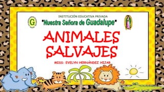 MISS: EVELYN HERNÁNDEZ HIJAR
INSTITUCIÓN EDUCATIVA PRIVADA
ANIMALES
SALVAJES
 