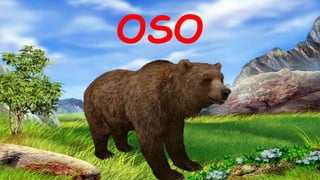 OSO
 
