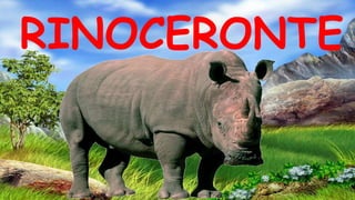 RINOCERONTE
 