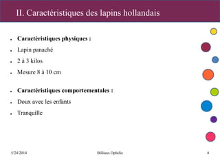 5/24/2014 Billiaux Ophélie 4
II. Caractéristiques des lapins hollandais
● Caractéristiques physiques :
● Lapin panaché
● 2 à 3 kilos
● Mesure 8 à 10 cm
● Caractéristiques comportementales :
● Doux avec les enfants
● Tranquille
 