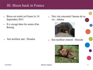 5/24/2014 Billiaux Ophélie 5
III. Bisou back in France
● Bisou est rentré en France le 14
Septembre 2013
● Il a voyagé dans les soutes d'un
Boeing
● Très vite rencontré l'amour de sa
vie : Athéna
● Son meilleur ennemi : Hercule● Son meilleur ami : Doudou
 