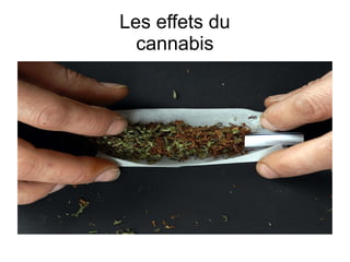 Les effets du
cannabis
 