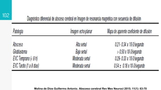 102
Molina de Dios Guillermo Antonio. Absceso cerebral Rev Mex Neuroci 2015; 11(1): 63-70
 
