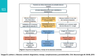 103
Vargas R, Ledmar J. Absceso cerebral: diagnóstico, manejo, complicaciones y pronósticoRev. Chil. Neurocirugía 44: 60-68, 2018
 