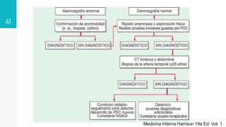41
Medicina Interna Harrison 19a Ed. Vol. 1
 