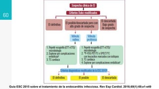 60
Guía ESC 2015 sobre el tratamiento de la endocarditis infecciosa. Rev Esp Cardiol. 2016;69(1):69.e1-e49
 