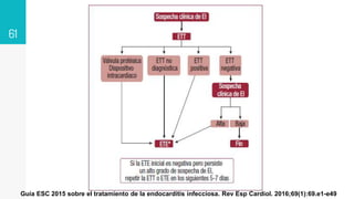 61
Guía ESC 2015 sobre el tratamiento de la endocarditis infecciosa. Rev Esp Cardiol. 2016;69(1):69.e1-e49
 