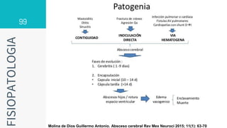 99
FISIOPATOLOGIA
Molina de Dios Guillermo Antonio. Absceso cerebral Rev Mex Neuroci 2015; 11(1): 63-70
 