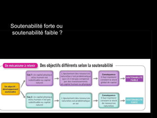 Soutenabilité forte ou
soutenabilité faible ?
 