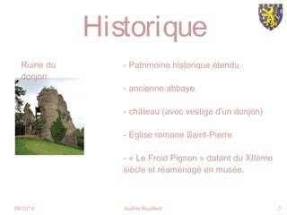 08/12/14 Sophie Mouillard 3
Historique
Ruine du
donjon
- Patrimoine historique étendu.
- ancienne abbaye
- château (avec vestige d'un donjon)
- Eglise romane Saint-Pierre
- « Le Froid Pignon » datant du XIIème
siècle et réaménagé en musée.
 