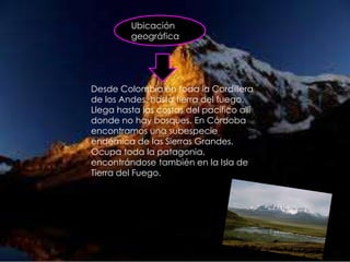 Ubicación
         geográfica




Desde Colombia en toda la Cordillera
de los Andes, hasta tierra del fuego.
Llega hasta las costas del pacífico allí
donde no hay bosques. En Córdoba
encontramos una subespecie
endémica de las Sierras Grandes.
Ocupa toda la patagonia,
encontrándose también en la Isla de
Tierra del Fuego.
 