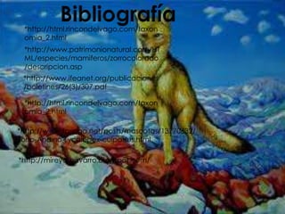 *http://html.rincondelvago.com/taxon
 omia_2.html
 *http://www.patrimonionatural.com/HT
 ML/especies/mamiferos/zorrocolorado
 /descripcion.asp
 *http://www.ifeanet.org/publicaciones
 /boletines/26(3)/307.pdf

 *http://html.rincondelvago.com/taxon
 omia_2.html

*http://www.taringa.net/posts/mascotas/13770632/
Zorro-Andino-Lycalopex-culpaeus.html

*http://mireya-navarro.blogspot.com/
 
