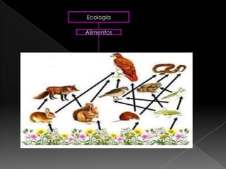 Ecología

Alimentos
 