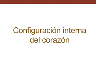 Configuración interna
del corazón
 