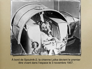 À bord de Spoutnik-2, la chienne Laïka devient le premier
     être vivant dans l’espace le 3 novembre 1957.
 