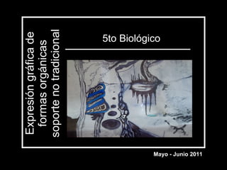 Expresión gráfica de formas orgánicas soporte no tradicional 5to Biológico Mayo - Junio 2011 