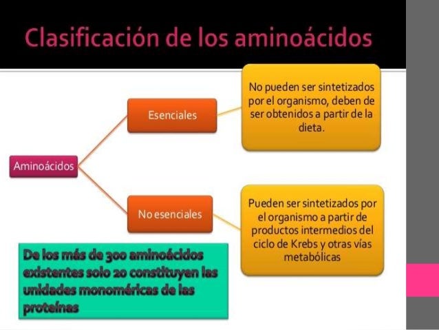 aminoacidos y peptidos