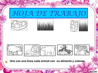 HOJA DE TRABAJO




Une con una línea cada animal con su alimento y colorea.
 