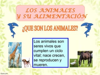 LOS ANIMALES
Y SU ALIMENTACIÓN



    Los animales son
    seres vivos que
    cumplen un ciclo
    vital; nace crecen,
    se reproducen y
    mueren.
 