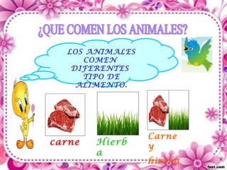 LOS ANIMALES
     COMEN
   DIFERENTES
     TIPO DE
    ALIMENTO.




                 Carne
carne   Hierb    y
        a
                 hierba
 