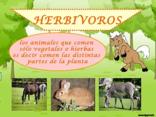 HERBIVOROS
  los animales que comen
  sólo vegetales o hierbas
es decir comen las distintas
     partes de la planta
 