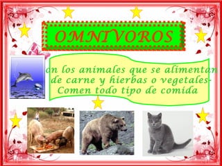 OMNIVOROS

son los animales que se alimentan
  de carne y hierbas o vegetales-
   Comen todo tipo de comida
 