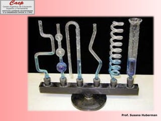 Prof. Susana Huberman
 