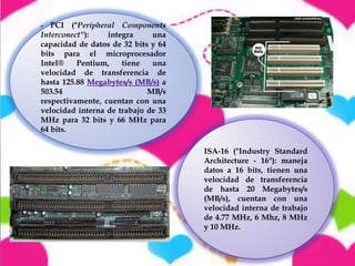 PCI ("Peripheral Components
Interconect"):
integra
una
capacidad de datos de 32 bits y 64
bits para el microprocesador
Intel®
Pentium,
tiene
una
velocidad de transferencia de
hasta 125.88 Megabytes/s (MB/s) a
503.54
MB/s
respectivamente, cuentan con una
velocidad interna de trabajo de 33
MHz para 32 bits y 66 MHz para
64 bits.
-

ISA-16 ("Industry Standard
Architecture - 16"): maneja
datos a 16 bits, tienen una
velocidad de transferencia
de hasta 20 Megabytes/s
(MB/s), cuentan con una
velocidad interna de trabajo
de 4.77 MHz, 6 Mhz, 8 MHz
y 10 MHz.

 