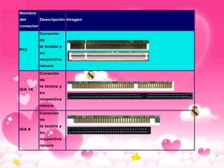 Nombre
del

Descripción Imagen

conector
Conector
de
PCI

la tarjeta y
su
respectiva
ranura
Conector
de

ISA 16

la tarjeta y
su
respectiva
ranura
Conector
de

ISA 8

la tarjeta y
su
respectiva
ranura

 