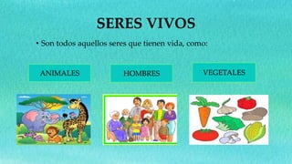 SERES VIVOS
• Son todos aquellos seres que tienen vida, como:
ANIMALES HOMBRES VEGETALES
 