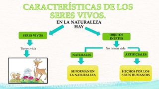 EN LA NATURALEZA
HAY
SERES VIVOS OBJETOS
INERTES
Tienen vida No tienen vida
NATURALES ARTIFICIALES
SE FORMAN EN
LA NATURALEZA
HECHOS POR LOS
SERES HUMANOIS
 