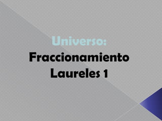 Universo:
Fraccionamiento
   Laureles 1
 
