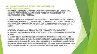 LAS MODIFICACIONES QUE SUFREN LAS PROTEINAS DE LA
CARNE, según Badui y Potter.
DESNATURALIZACIÓN: CAMBIO EN LA ESTRUCTURA ESPACIAL DE LA PROTEÍNA,
AUMENTA POR PH ACIDO, MANTENIENDO TODOS SUS AMINOÁCIDOS Y LA
DIGESTIBILIDAD DE LA PROTEÍNA.
COAGULACIÓN: EL CALOR COAGULA PROTEÍNAS, COMO SE OBSERVA EN LA SANGRE
DE ANIMALES, FORMANDO COÁGULOS QUE, AL ENDURECERSE, PERMITEN CORTARLA
PARA MORCILLA Y SANGRECITA. AL IGUAL QUE EL PESCADO SE ENDURECE CON EL
ÁCIDO.
REACCIÓN DE MAILLARD: PRODUCIDA POR FORMACIÓN DE COMPUESTOS
INSOLUBLES, QUE NO PUEDEN SER DESDOBLADOS POR LAS ENZIMAS DIGESTIVAS DEL
HOMBRE.
El cambio ocurre cuando el grupo amínico libre de la lisina u otro aminoácido
reacciona con glucosa o fructosa, carbohidratos con grupos reductores, formando
grupos oscuros o pardos. En carne frita, rostizada, a la parrilla con característico
olor desagradable, originando sustancias sápidas (dicho de una sustancia que tiene
algún sabor) y aromáticas que estimulan la secreción de jugos digestivos.
 