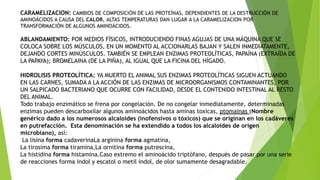 CARAMELIZACION: CAMBIOS DE COMPOSICIÓN DE LAS PROTEÍNAS, DEPENDIENTES DE LA DESTRUCCIÓN DE
AMINOÁCIDOS A CAUSA DEL CALOR. ALTAS TEMPERATURAS DAN LUGAR A LA CARAMELIZACION POR
TRANSFORMACIÓN DE ALGUNOS AMINOÁCIDOS.
ABLANDAMIENTO: POR MEDIOS FÍSICOS, INTRODUCIENDO FINAS AGUJAS DE UNA MÁQUINA QUE SE
COLOCA SOBRE LOS MÚSCULOS, EN UN MOMENTO AL ACCIONARLAS BAJAN Y SALEN INMEDIATAMENTE,
DEJANDO CORTES MINÚSCULOS. TAMBIÉN SE EMPLEAN ENZIMAS PROTEOLÍTICAS, PAPAÍNA (EXTRAÍDA DE
LA PAPAYA); BROMELAINA (DE LA PIÑA), AL IGUAL QUE LA FICINA DEL HÍGADO.
HIDROLISIS PROTEOLÍTICA: YA MUERTO EL ANIMAL SUS ENZIMAS PROTEOLÍTICAS SIGUEN ACTUANDO
EN LAS CARNES, SUMADA A LA ACCIÓN DE LAS ENZIMAS DE MICROORGANISMOS CONTAMINANTES, POR
UN SALPICADO BACTERIANO QUE OCURRE CON FACILIDAD, DESDE EL CONTENIDO INTESTINAL AL RESTO
DEL ANIMAL.
Todo trabajo enzimático se frena por congelación. De no congelar inmediatamente, determinadas
enzimas pueden descarboxilar algunos aminoácidos hasta aminas toxicas, ptomainas (Nombre
genérico dado a los numerosos alcaloides (inofensivos o tóxicos) que se originan en los cadáveres
en putrefacción. Esta denominación se ha extendido a todos los alcaloides de origen
microbiano), así:
La lisina forma cadaverinaLa arginina forma agmatina,
La tirosima forma tiramina,La ornitina forma putrescina,
La histidina forma histamina.Caso extremo el aminoácido triptófano, después de pasar por una serie
de reacciones forma indol y escatol o metil indol, de olor sumamente desagradable.
 