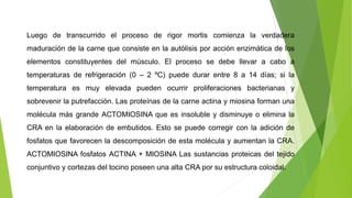 Luego de transcurrido el proceso de rigor mortis comienza la verdadera
maduración de la carne que consiste en la autòlisis por acción enzimàtica de los
elementos constituyentes del músculo. El proceso se debe llevar a cabo a
temperaturas de refrigeración (0 – 2 ºC) puede durar entre 8 a 14 días; si la
temperatura es muy elevada pueden ocurrir proliferaciones bacterianas y
sobrevenir la putrefacción. Las proteínas de la carne actina y miosina forman una
molécula más grande ACTOMIOSINA que es insoluble y disminuye o elimina la
CRA en la elaboración de embutidos. Esto se puede corregir con la adición de
fosfatos que favorecen la descomposición de esta molécula y aumentan la CRA.
ACTOMIOSINA fosfatos ACTINA + MIOSINA Las sustancias proteicas del tejido
conjuntivo y cortezas del tocino poseen una alta CRA por su estructura coloidal.
 
